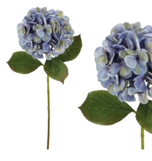 Κλαδί σιέλ / πράσινο Ορτανσία μονή Υ60εκ  18745-4