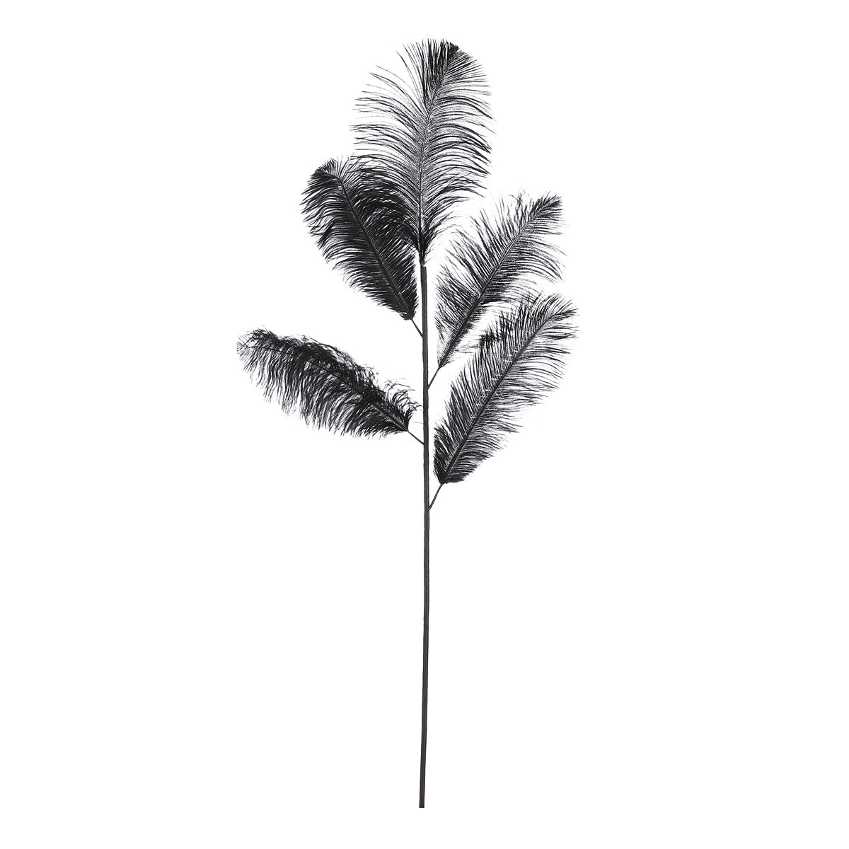 ΚΛΑΔΙ ΠΟΥΠΟΥΛΟ ΜΑΥΡΟ - L125 W30cm feather