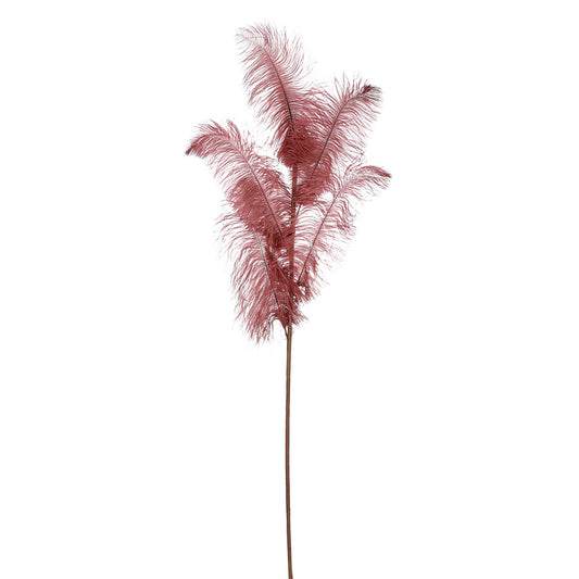 ΚΛΑΔΙ ΠΟΥΠΟΥΛΟ ΚΑΦΕ - L125 W30cm feather