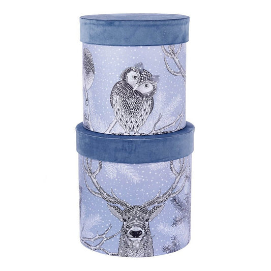 ΚΟΥΤΙ Set/2  ΚΥΛΙΝΔΡΙΚΟ ΜΠΛΕ ΒΕΛΟΥΔΟ  ΜΕ ΚΟΥΚΟΥΒΑΓΙΑ /ΤΑΡΑΝΔΟΣ  D23-H25cm D25-H26cm