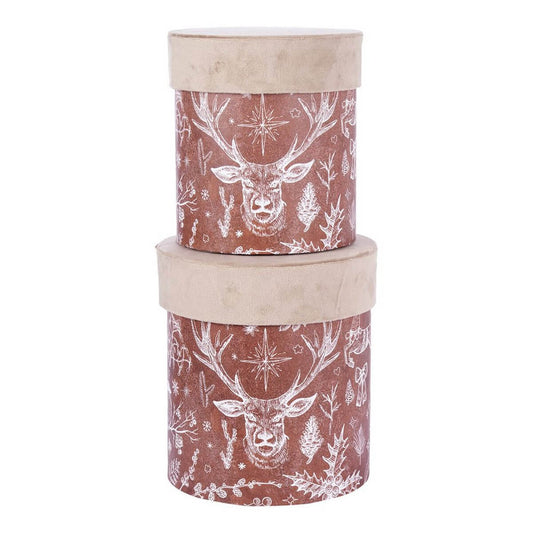 ΚΟΥΤΙ Set/2  ΚΥΛΙΝΔΡΙΚΟ ΜΠΕΖ ΒΕΛΟΥΔΟ  ΚΑΦΕ ΤΑΡΑΝΔΟΣ / ΚΟΥΚΟΥΝΑΡΙΑ D16-Η19cm,  D18,5-H21cm