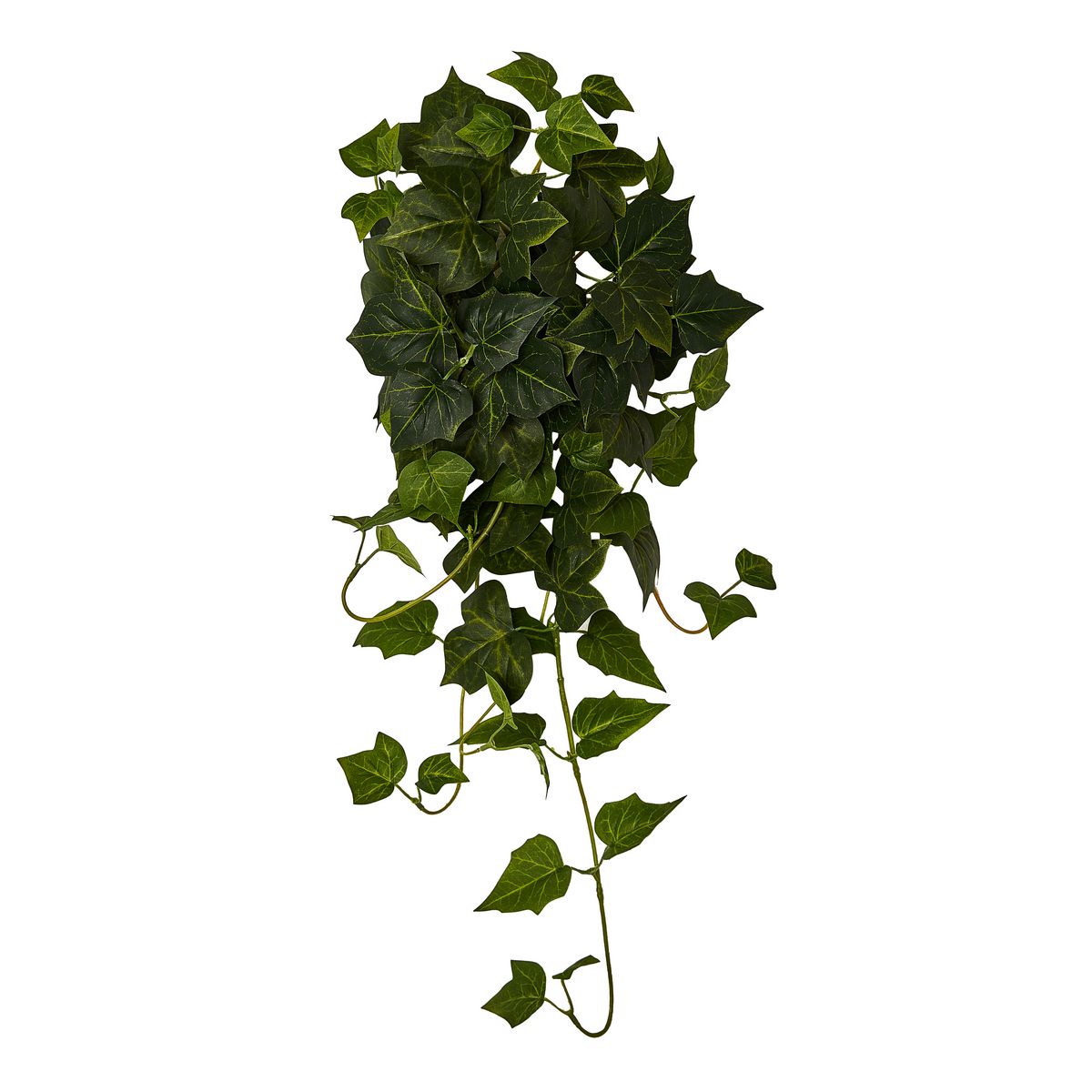 ΚΙΣΣΟΣ ΜΠΟΥΚΕΤΟ x 70 ΦΥΛΛΑ ΣΚΟΥΡΟ ΠΡΑΣΙΝΟ 65cm ΣΥΝΘΕΤΙΚΟ