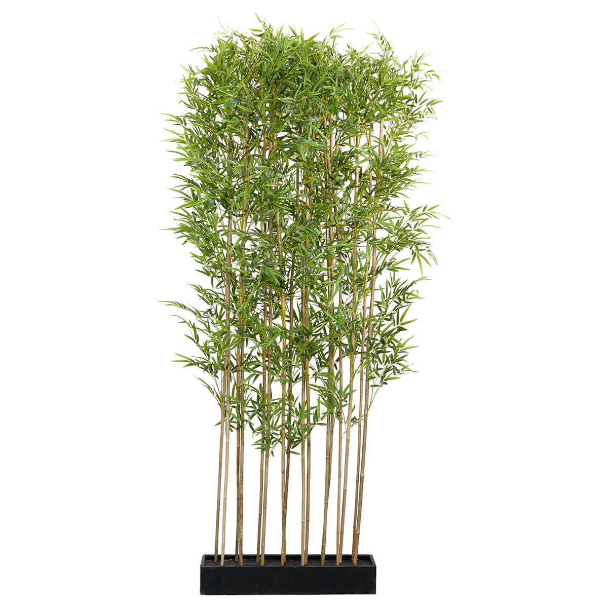 ΜΠΑΜΠΟΥ ΚΛΑΔΙΑ 2,40 cm ΠΡΑΣΙΝΟ ΣΕ ΒΑΣΗ 74 x 14 x12cm