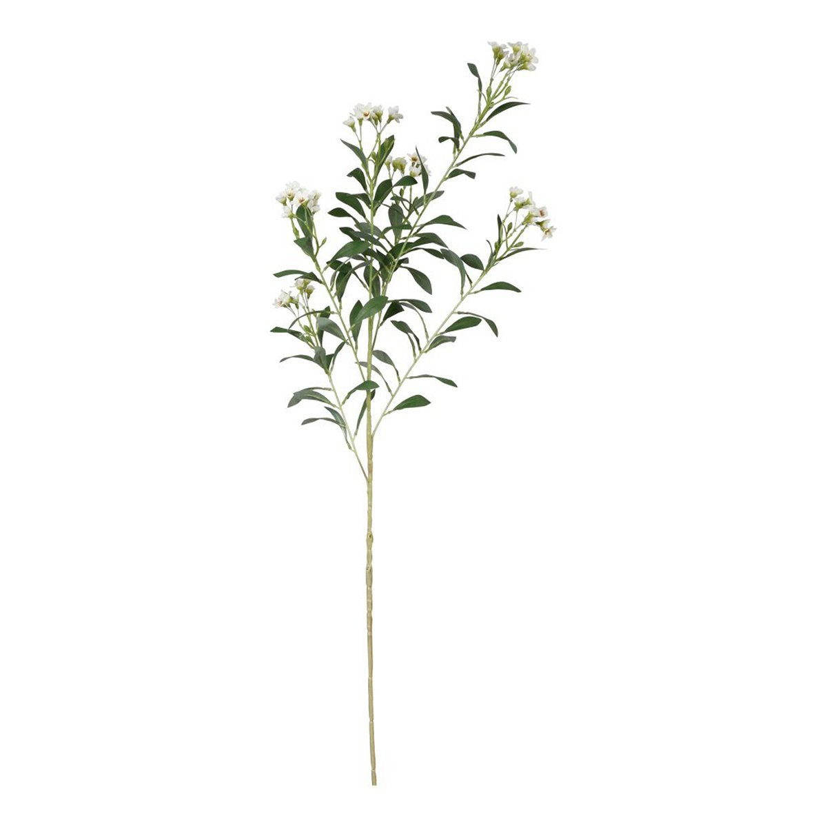 ΑΓΓΕΛΙΚΗ ΚΛΑΔΙ ΛΕΥΚΑ ΑΝΘΗ PITTOSPORUM 78cm ΣΥΝΘΕΤΙΚΟ