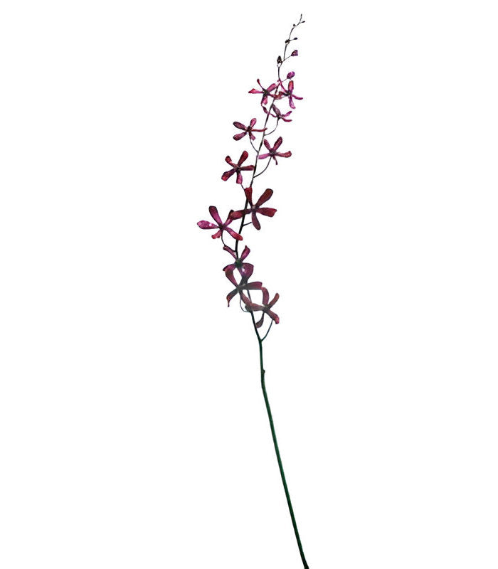ΟΡΧΙΔΕΑ ΚΛΑΔΙ PURPLE ΓΚΛΙΤΕΡ ΜΩΒ 85 CM