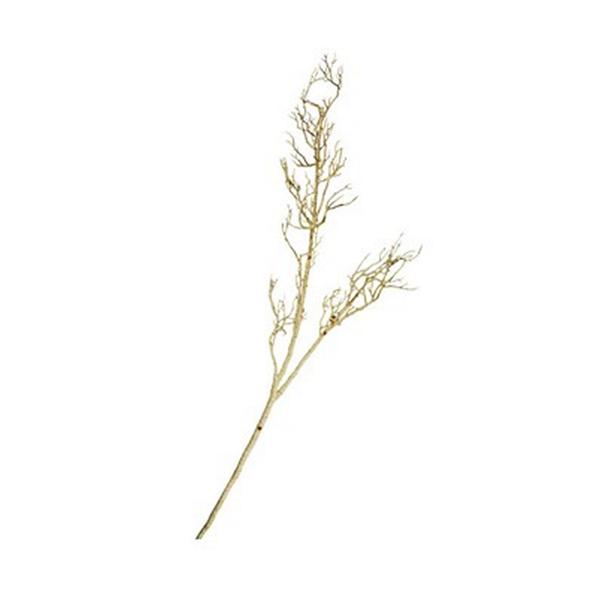 140 CM SIL ΞΕΡΟ ΚΛΑΔΙ