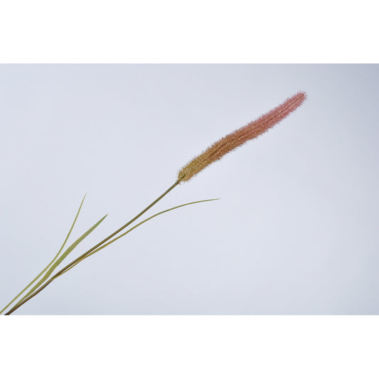 ΚΛΑΔΙ ΧΟΡΤΟ PLUME ΡΟΖ 102cm