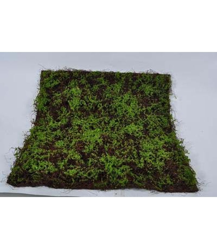ΒΡΥΑ ΣΚΟΥΡΟ ΠΡΑΣΙΝΟ 100cm polyethylene 40%, natural rattan 20%, glue 20%, moss 10%, others 10%