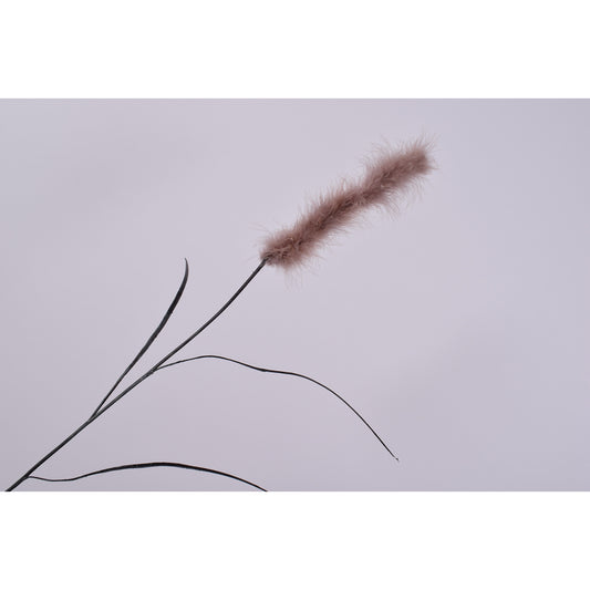 ΚΛΑΔΙ ΔΙΑΚΟΣΜΗΤΙΚΟ GRASS PLUME ΚΑΦΕ /BROWN