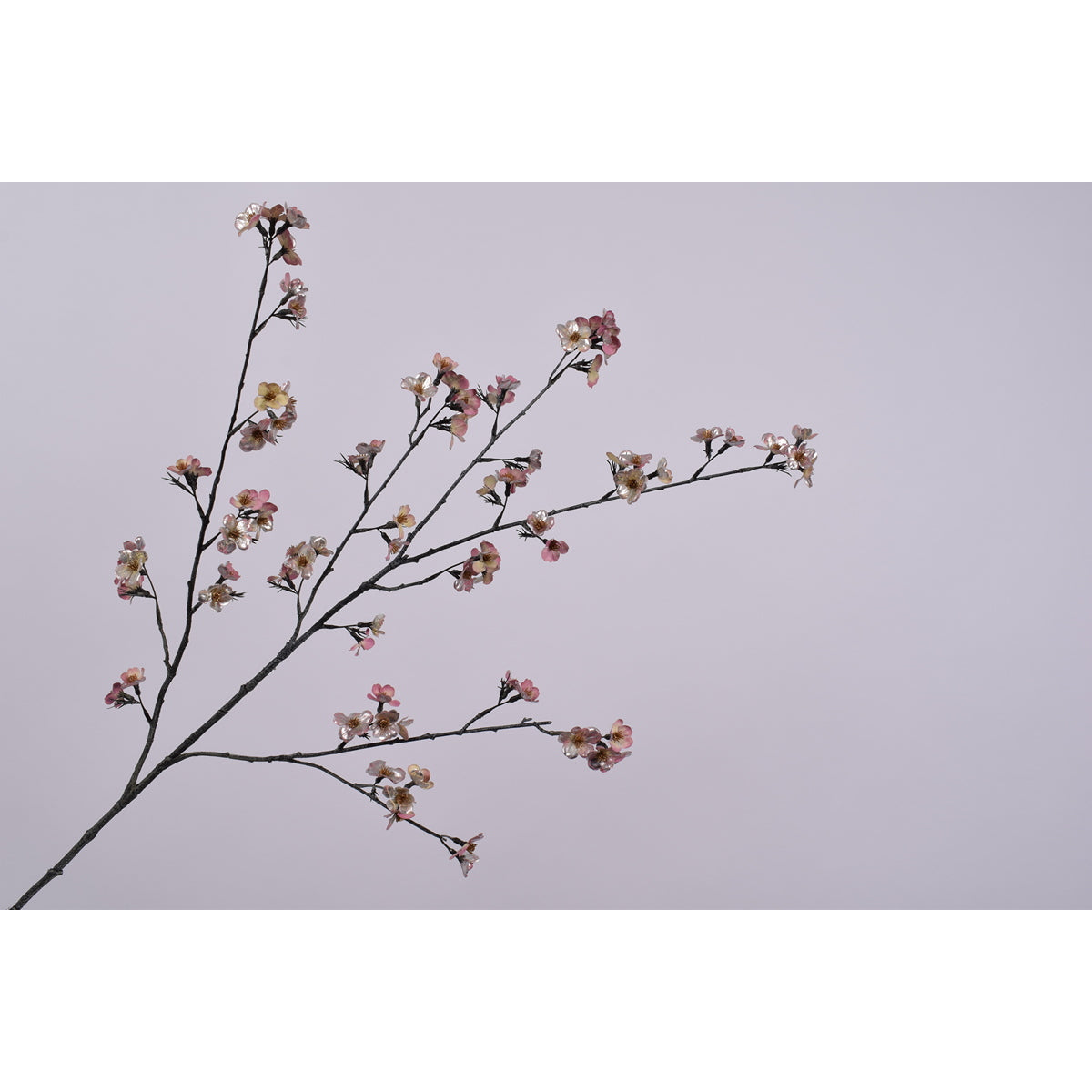 ΚΛΑΔΙ ΑΝΘΙΣΜΕΝΟ ΡΟΖ/PINK
