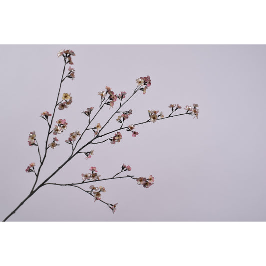 ΚΛΑΔΙ ΑΝΘΙΣΜΕΝΟ ΡΟΖ/PINK