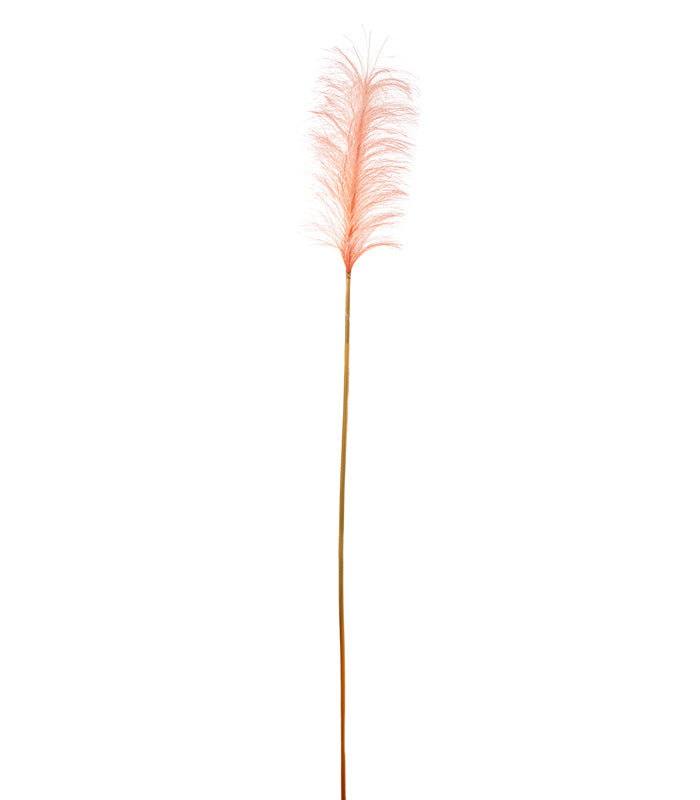 ΠΑΜΠΑΣ ΚΛΑΔΙ ΡΟΔΑΚΙΝΙ H148cm