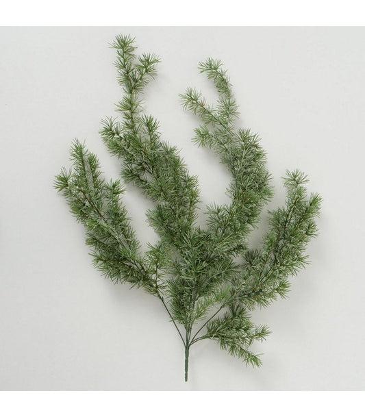 ΚΛΑΔΙ ΠΕΥΚΟΥ Indoor ΠΡΑΣΙΝΟ Plastic