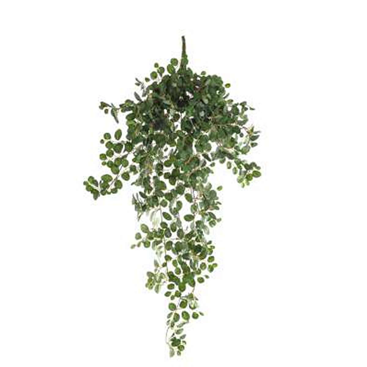 ΚΑΠΠΑΡΙΣ ΚΛΑΔΙ ΠΡΑΣΙΝΟ H90cm