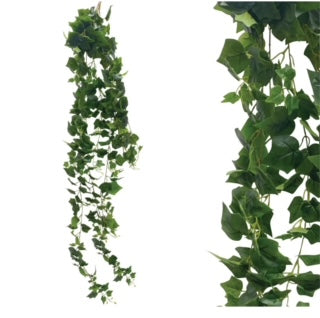 Ρίζα κρεμαστή κισσός πράσινος Υ200εκ 22097-3