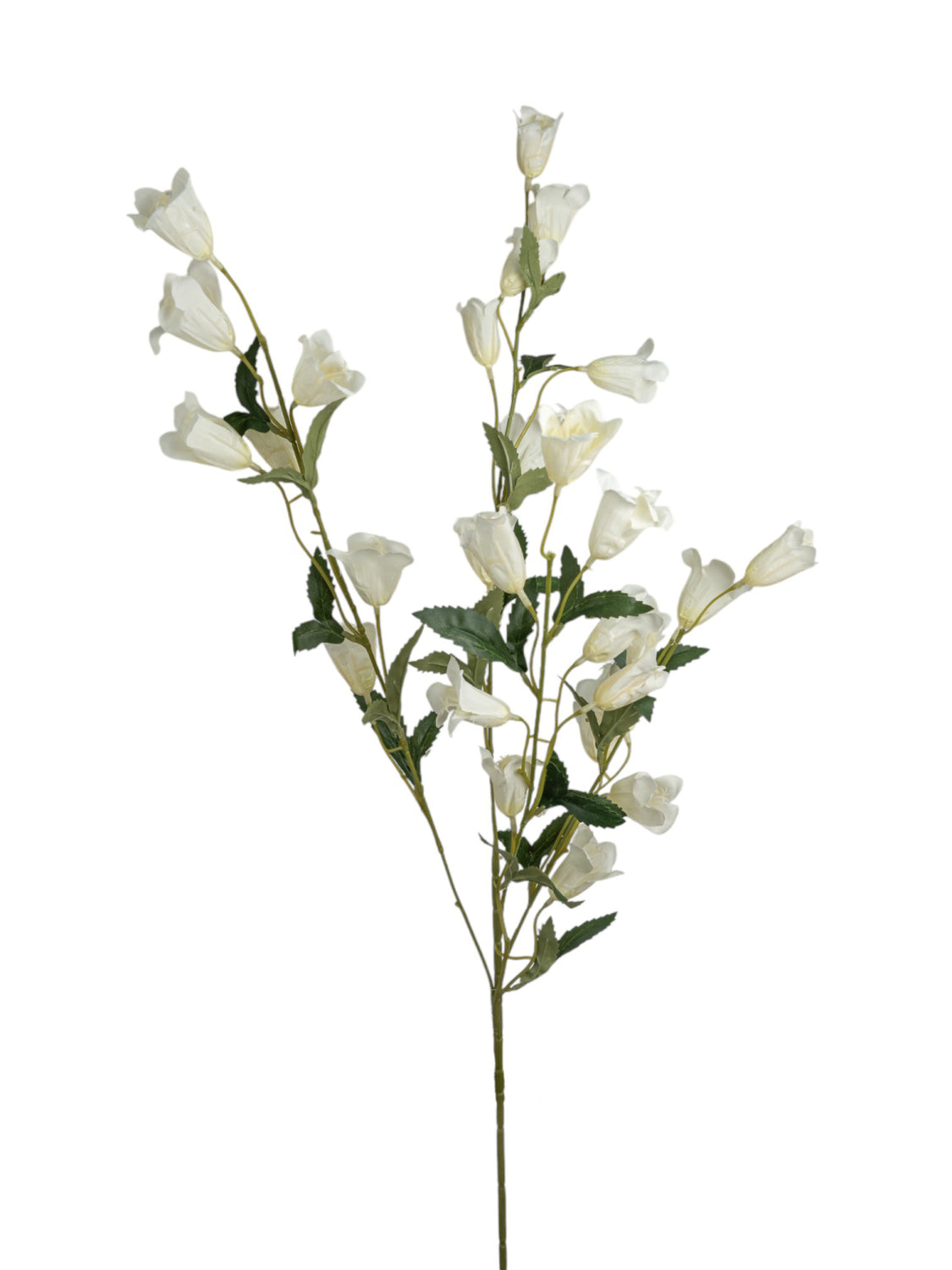 ΛΟΥΛΟΥΔΑΚΙΑ ΜΠΕΖ 110ΕΚ