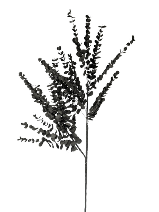 ΚΛΑΔΙΑ ΜΕ ΦΥΛΛΑΡΑΚΙΑ ΜΑΥΡΑ 103ΕΚ