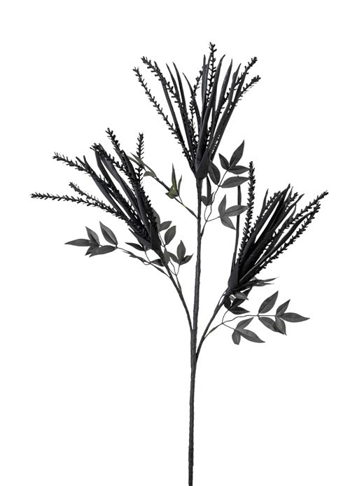 ΚΛΑΔΙΑ ΛΟΓΧΕΣ ΜΑΥΡΕΣ 103ΕΚ