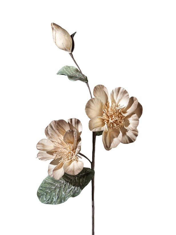 ΛΟΥΛΟΥΔΙ ΚΑΦΕ ΜΠΟΥΜΠΟΥΚΙΑ 85ΕΚ