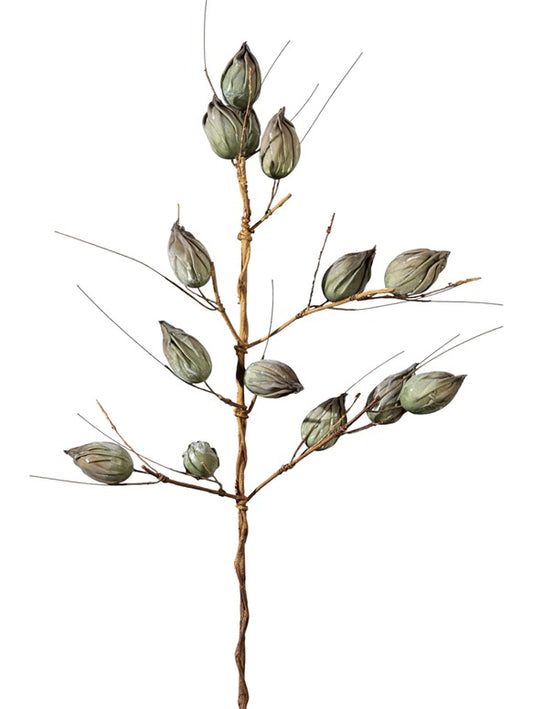 ΚΛΑΔΙ ΜΕ ΚΑΡΠΟΥΣ ΚΟΚΚΙΝΟ ΠΡΑΣΙΝΟΥΣ 104ΕΚ