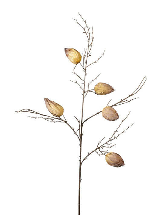 ΚΛΑΔΙ ΜΕ ΚΑΡΠΟΥΣ ΜΠΕΖ ΚΑΦΕ 84ΕΚ