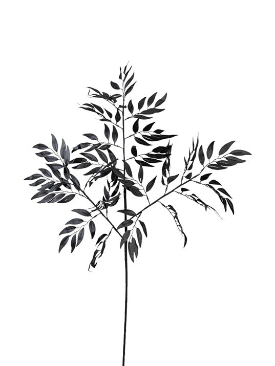 ΛΟΥΛΟΥΔΙ ΤΡΙΠΛΟ ΚΛΑΔΙ ΜΕ ΦΥΛΛΑ ΜΑΥΡΑ 94 ΕΚ