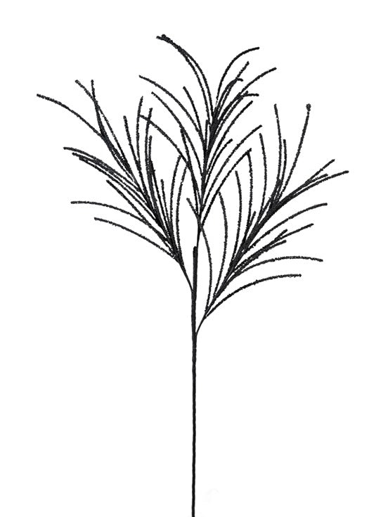 ΛΟΥΛΟΥΔΙ ΚΛΑΔΙΑ ΜΑΥΡΑ 94ΕΚ