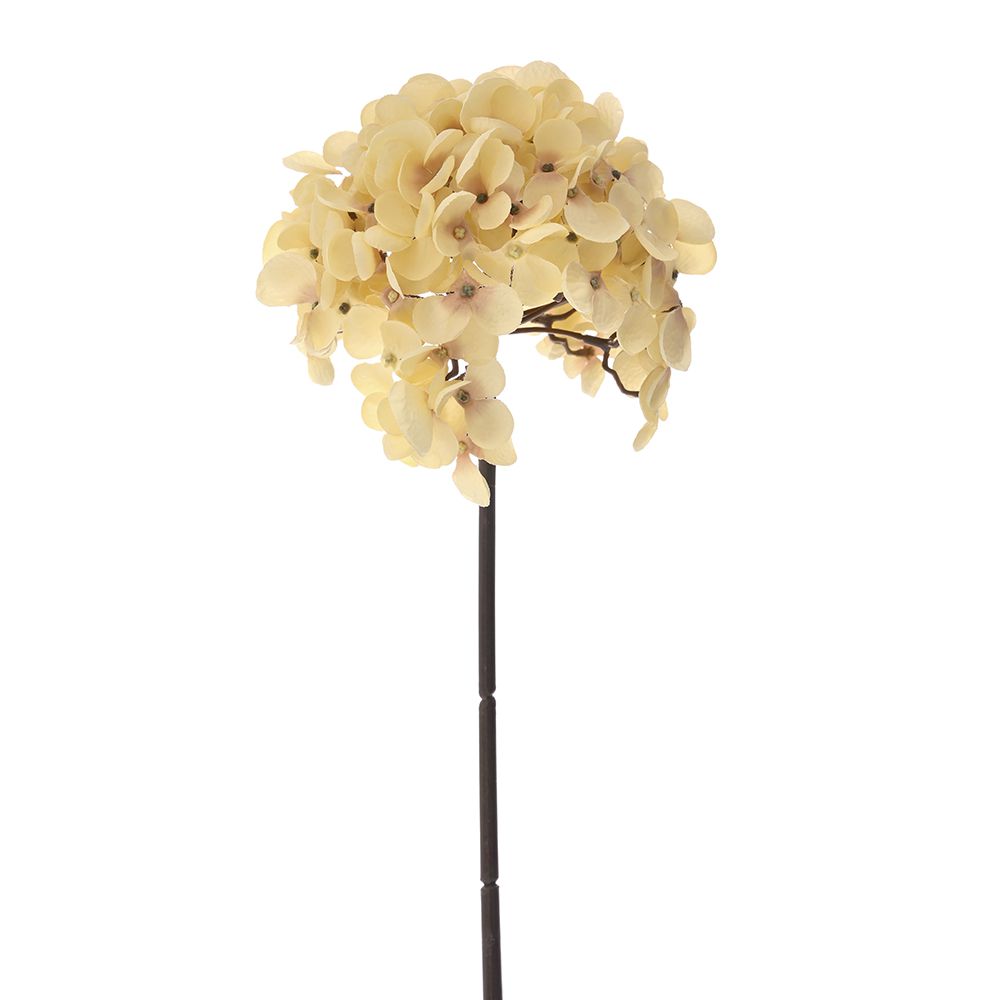 Ορτανσία κρεμ κλαδί 54εκ 81463