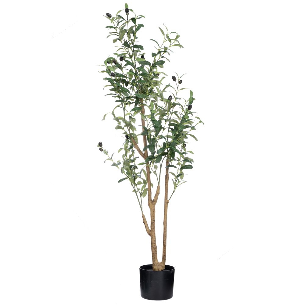 ΔΕΝΤΡΟ ΕΛΙΑΣ ΣΕ ΠΛΑΣΤΙΚΟ ΚΑΣΠΩ 120ΕΚ ΔΙΑ15Χ14ΕΚ