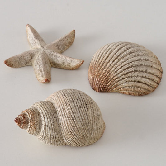 ΚΟΧΥΛΙ Bigo 3/ass ΦΥΣΙΚΟ ΜΠΕΖ 10x6x5cm Polyresin