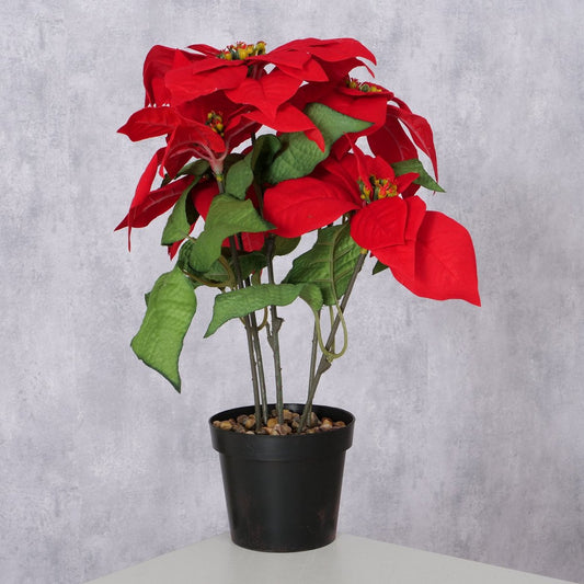 ΑΛΕΞΑΝΔΡΙΝΟ ΚΟΚΚΙΝΟ ΦΥΤΟ Indoor H40cm D30cm Iron Plastic Polyester