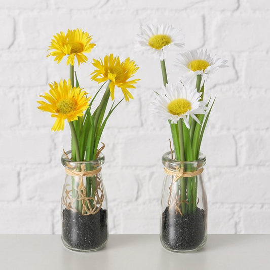 ΜΑΡΓΑΡΙΤΑ ΦΥΤΟ 2/ass Daisy ΣΕ ΓΥΑΛΙΝΟ ΒΑΣΗ H23cm D5cm Polyester