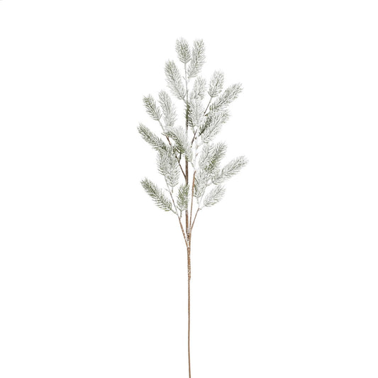 ΚΛΑΔΙ ΠΕΥΚΟΥ ΠΡΑΣΙΝΟ ΠΑΓΩΜΕΝΟ L102cm