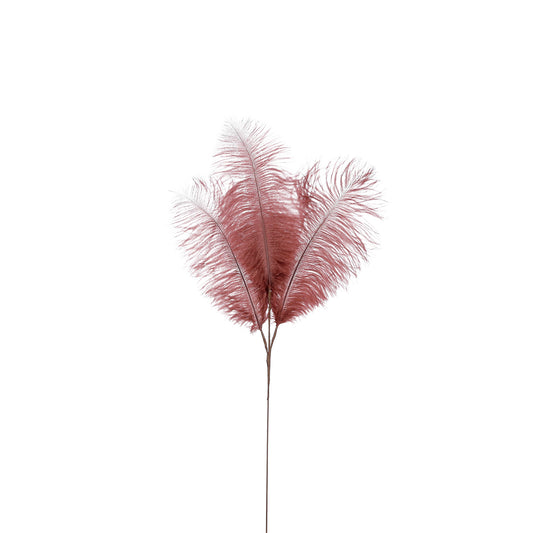 ΚΛΑΔΙ ΠΟΥΠΟΥΛΟ ΚΑΦΕ - L61 W20cm feather