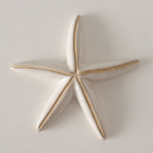 ΑΣΤΕΡΙΑΣ ΦΙΓΟΥΡΑ 17x17x3 cm Anija, ΛΕΥΚΟ  ΚΕΡΑΜΙΚΟ