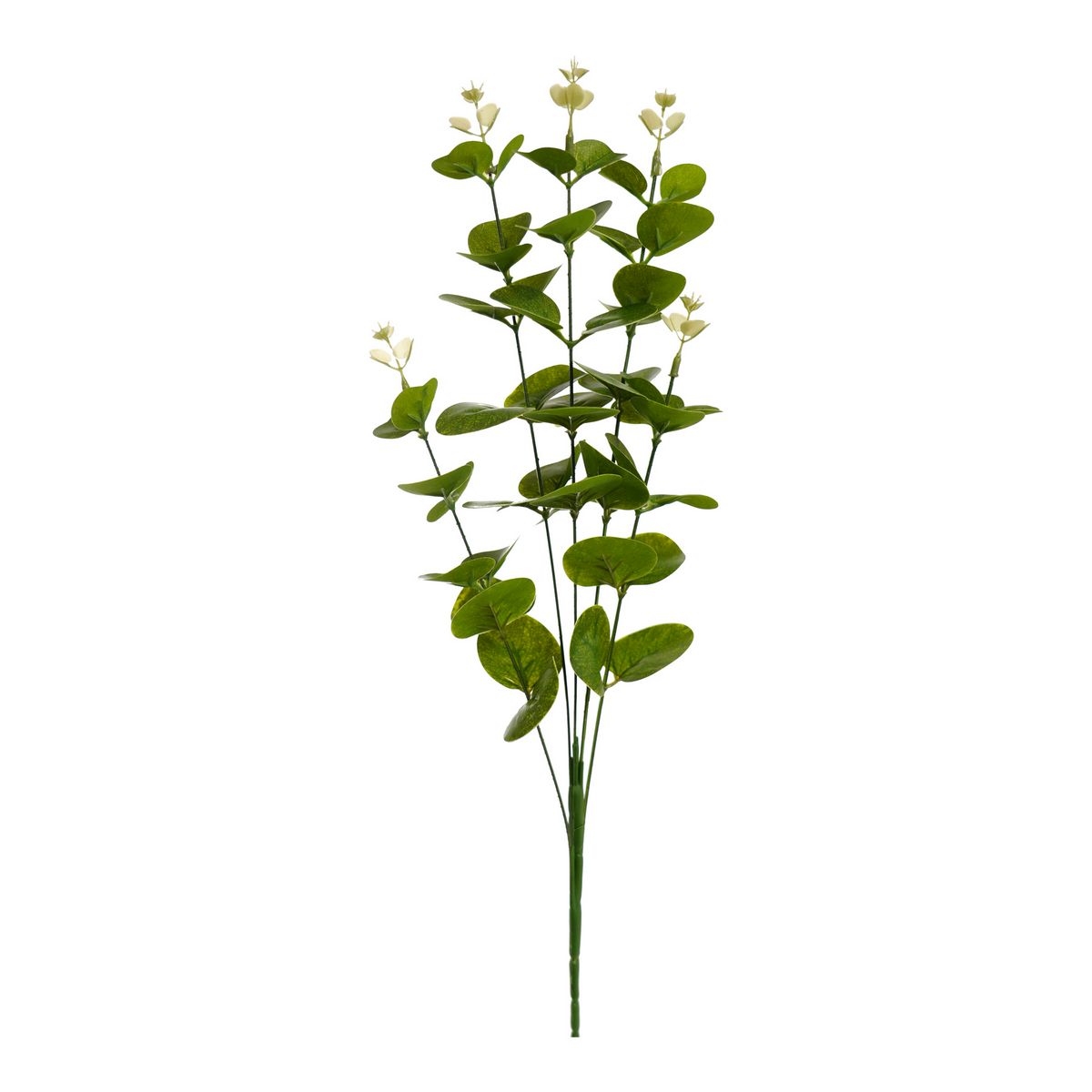 ΕΥΚΑΛΥΠΤΟΣ ΚΛΑΔΙ x 5 REAL TOUCH 62cm ΣΥΝΘΕΤΙΚΟ