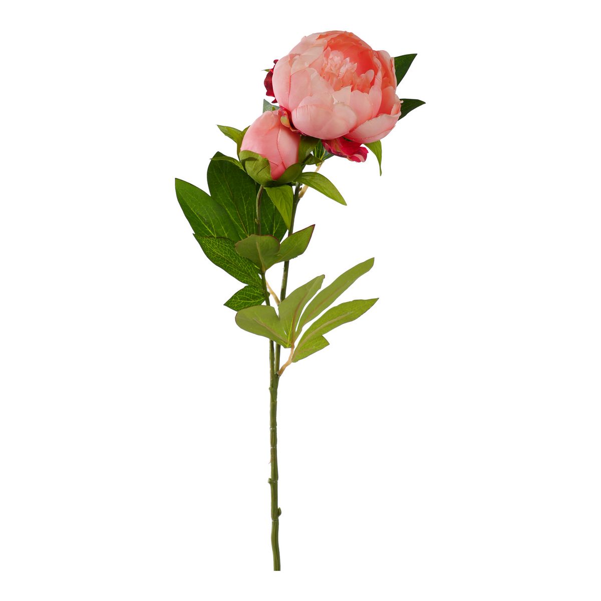 ΠΑΙΩΝΙΑ ΚΛΑΔΙ ΜΕ ΜΠΟΥΜΠΟΥΚΙ ΣΟΜΟΝ 72cm ΣΥΝΘΕΤΙΚΟ