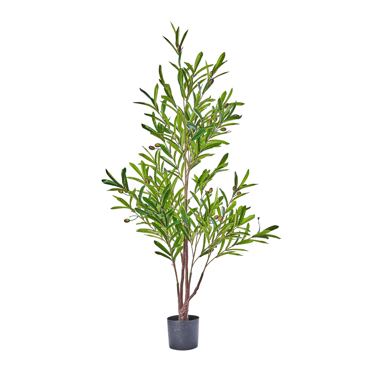 ΕΛΙΑ ΦΥΤΟ ΠΡΑΣΙΝΟ 120cm