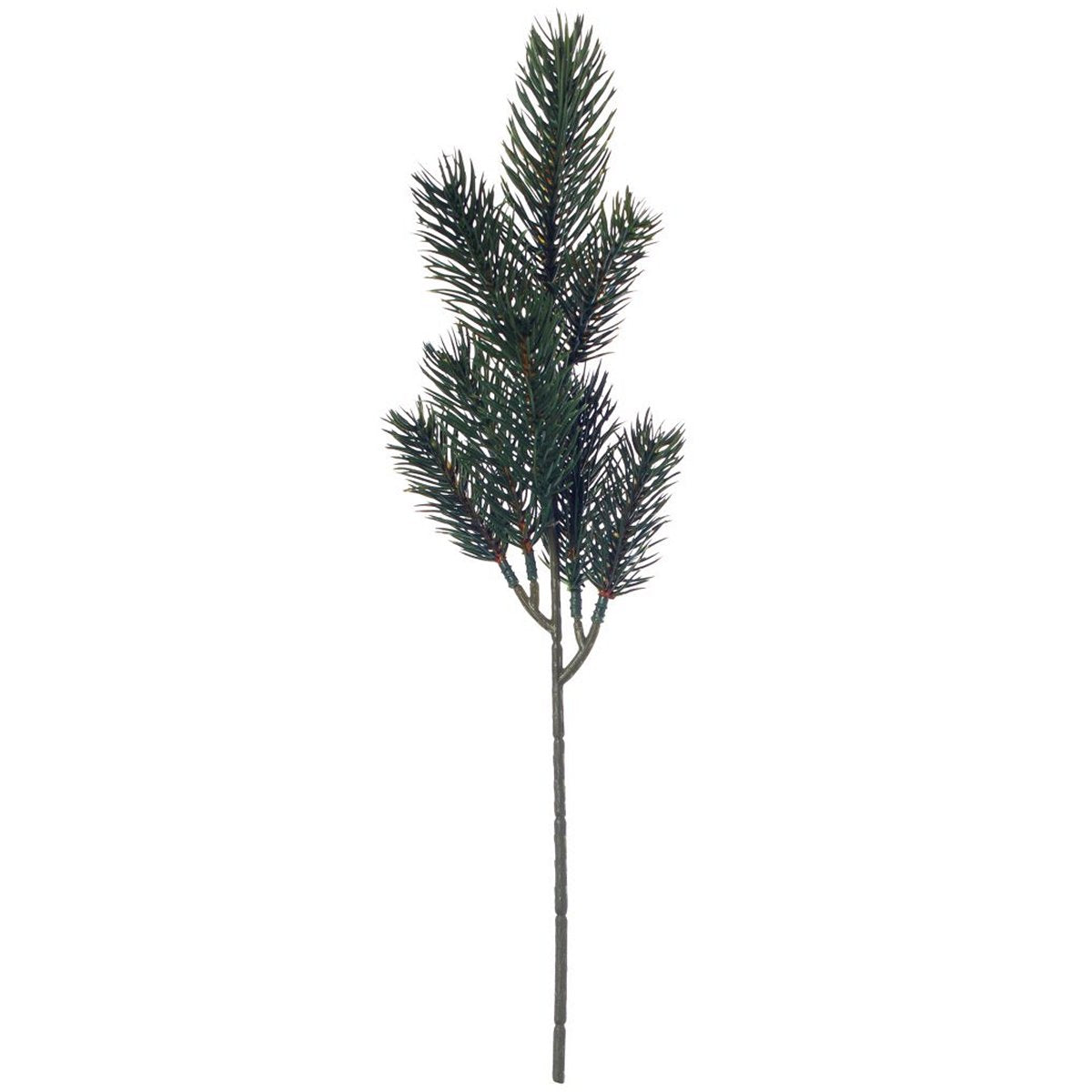 ΚΛΑΔΙ ΕΛΑΤΟ ΠΡΑΣΙΝΟ 39cm