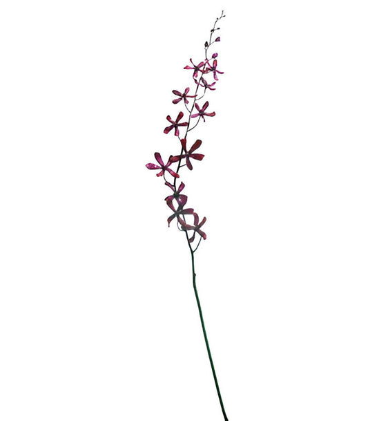 ΟΡΧΙΔΕΑ ΚΛΑΔΙ PURPLE ΓΚΛΙΤΕΡ ΜΩΒ 85 CM