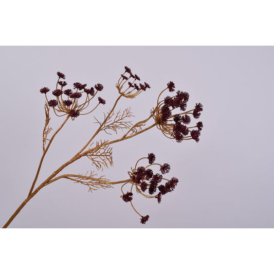 ΑΓΡΙΟΛΟΥΛΟΥΔΟ ΧΡΥΣΟ/ΜΠΟΡΝΤΟ /QUEEN AN LACE SPRAY GOLD/BURG