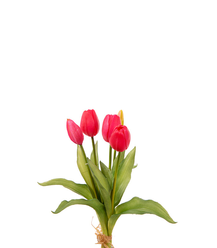 ΤΟΥΛΙΠΑ ΜΠΟΥΚΕΤΟ Χ5 ΛΟΥΛΟΥΔΙΑ BEAUTY 35cm