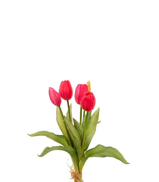 ΤΟΥΛΙΠΑ ΜΠΟΥΚΕΤΟ Χ5 ΛΟΥΛΟΥΔΙΑ BEAUTY 35cm