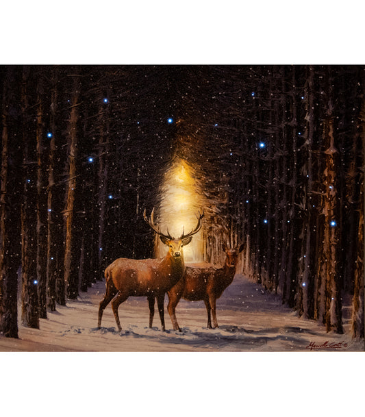 ΠΙΝΑΚΑΣ  1LED+42 FIBER ΤΑΡΑΝΔΟΙ  INDOOR CANVAS 38X48CM - 2ΧAA B.O.