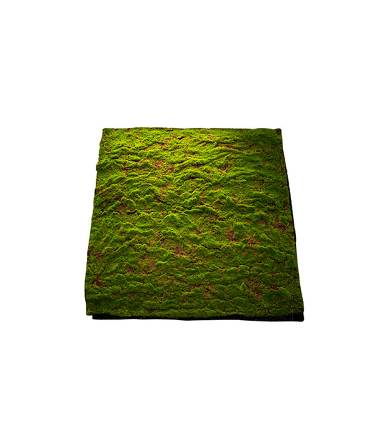 ΒΡΥΑ PANEL ΠΡΑΣΙΝΟ 100X100CM