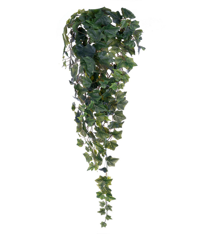 ΚΙΣΣΟΣ ΜΠΟΥΚΕΤΟ ΠΡΑΣΙΝΟ  X 244 ΦΥΛΛΑ  96CM