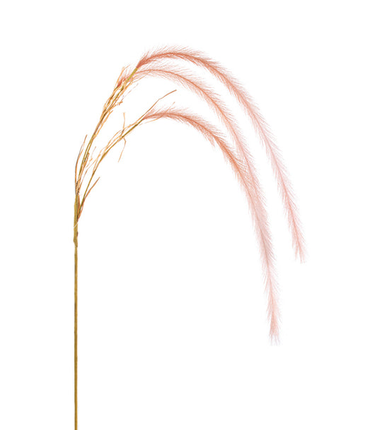 ΠΕΝΙΣΕΤΟ ΚΛΑΔΙ ΚΡΕΜΑΣΤΟ ΡΟΔΑΚΙΝΙ x 3 H138cm