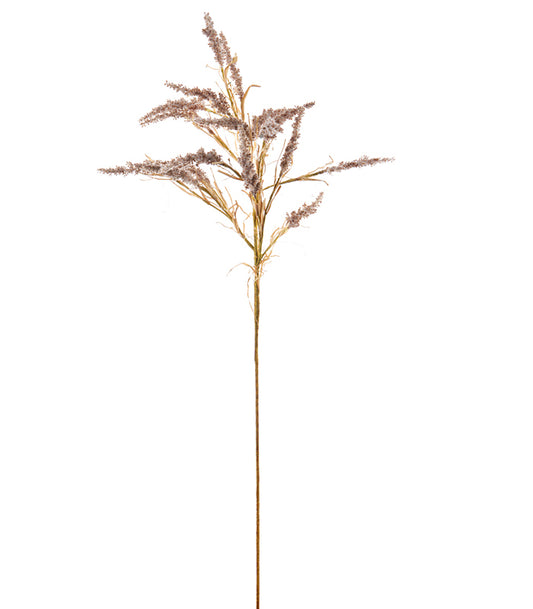 ΚΑΛΑΜΑΓΚΡΟΣΤΙΣ ΚΛΑΔΙ ΚΑΦΕ 125cm