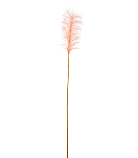 ΠΑΜΠΑΣ ΚΛΑΔΙ ΡΟΔΑΚΙΝΙ H148cm