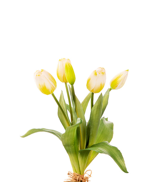 ΤΟΥΛΙΠΑ ΜΠΟΥΚΕΤΟ Χ5 ΛΟΥΛΟΥΔΙΑ ΛΕΥΚΗ 35cm